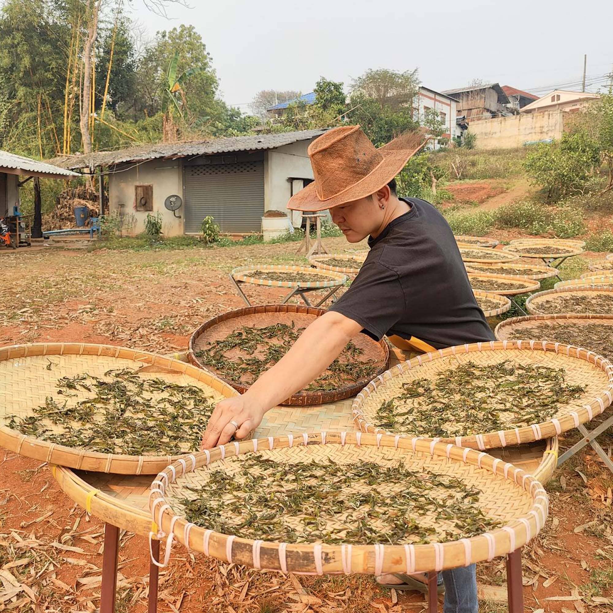 Doi Wawee Shu Pu'er Tea Cake - Image 4