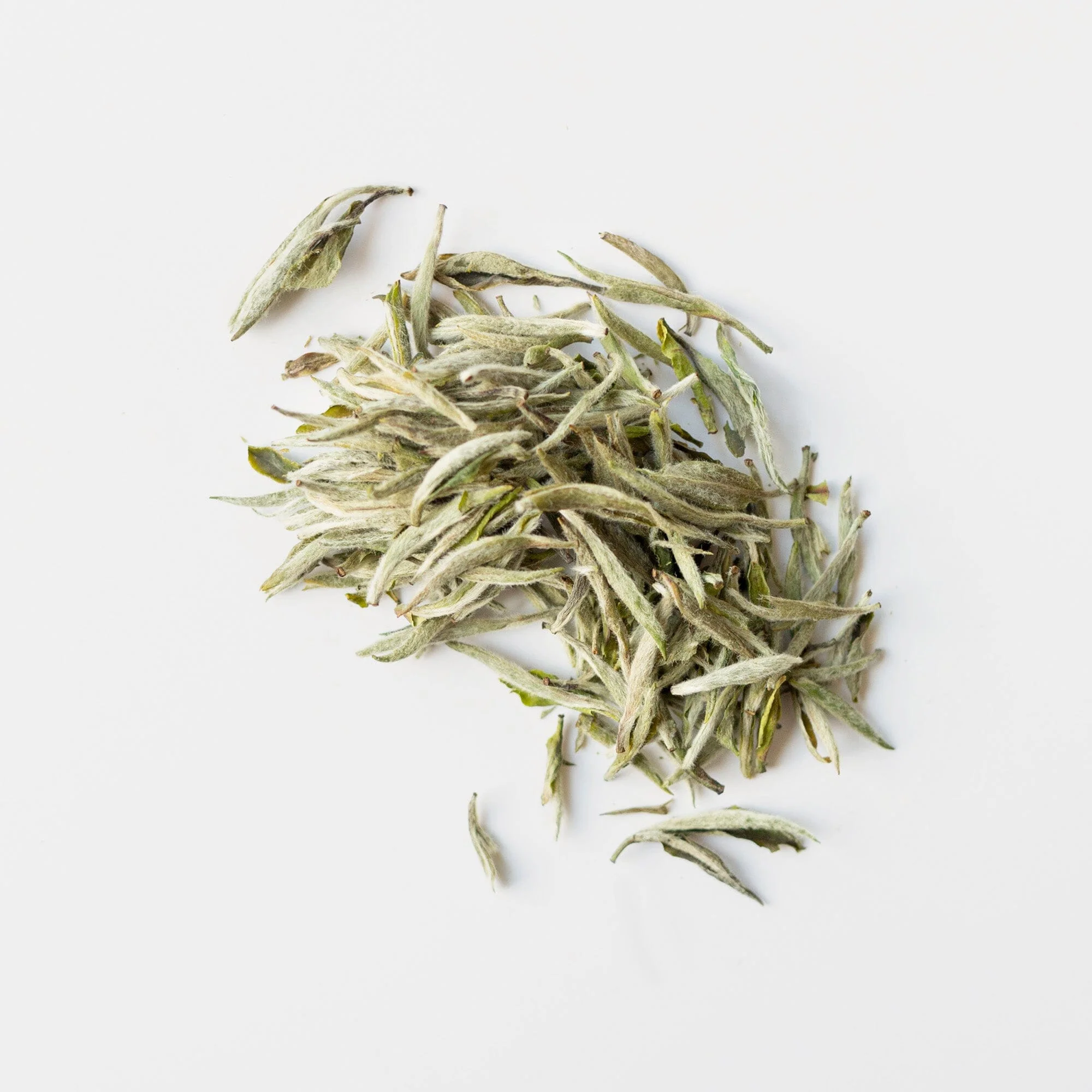 Fuding Silver Needles