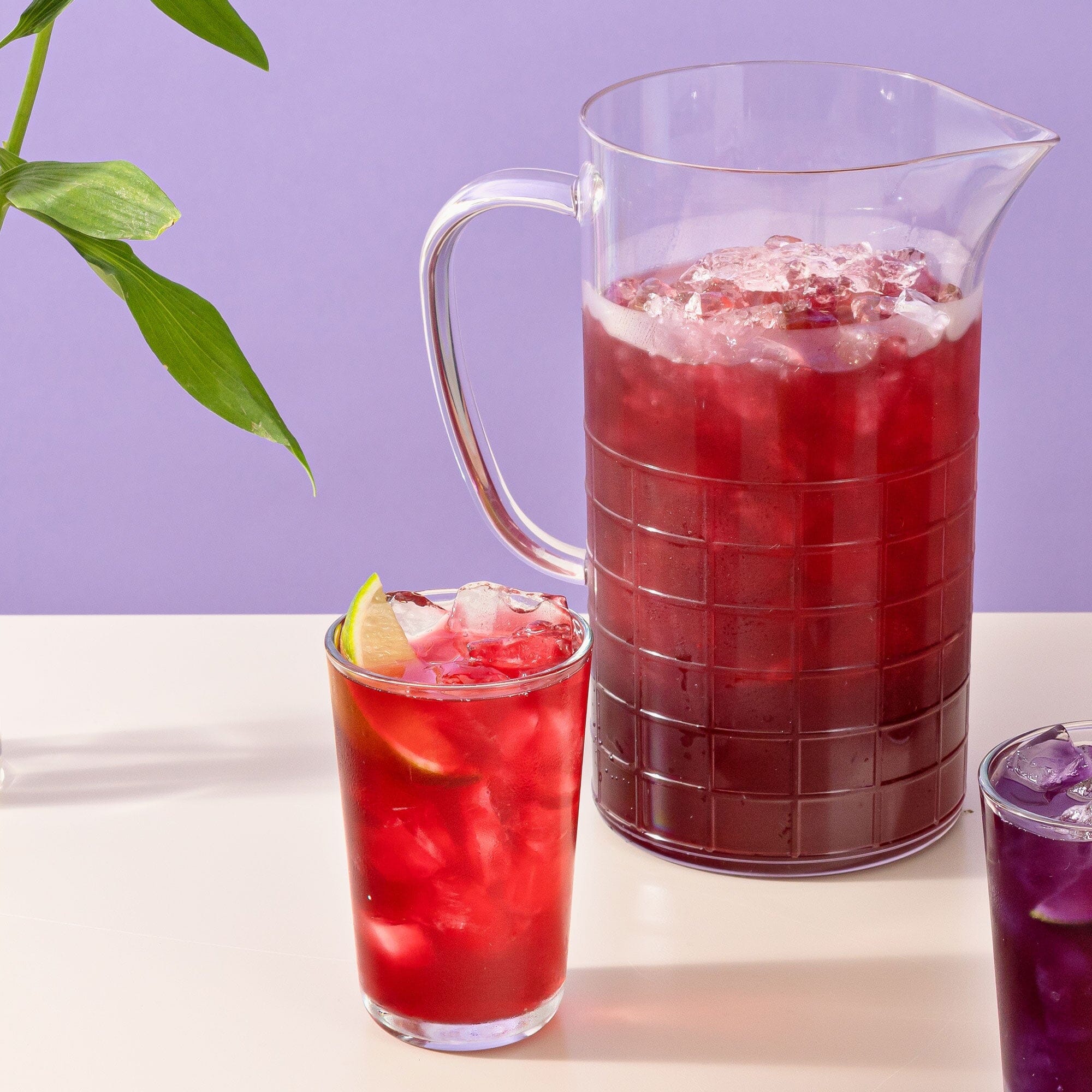 Hibiscus Limeade Powder - Image 5