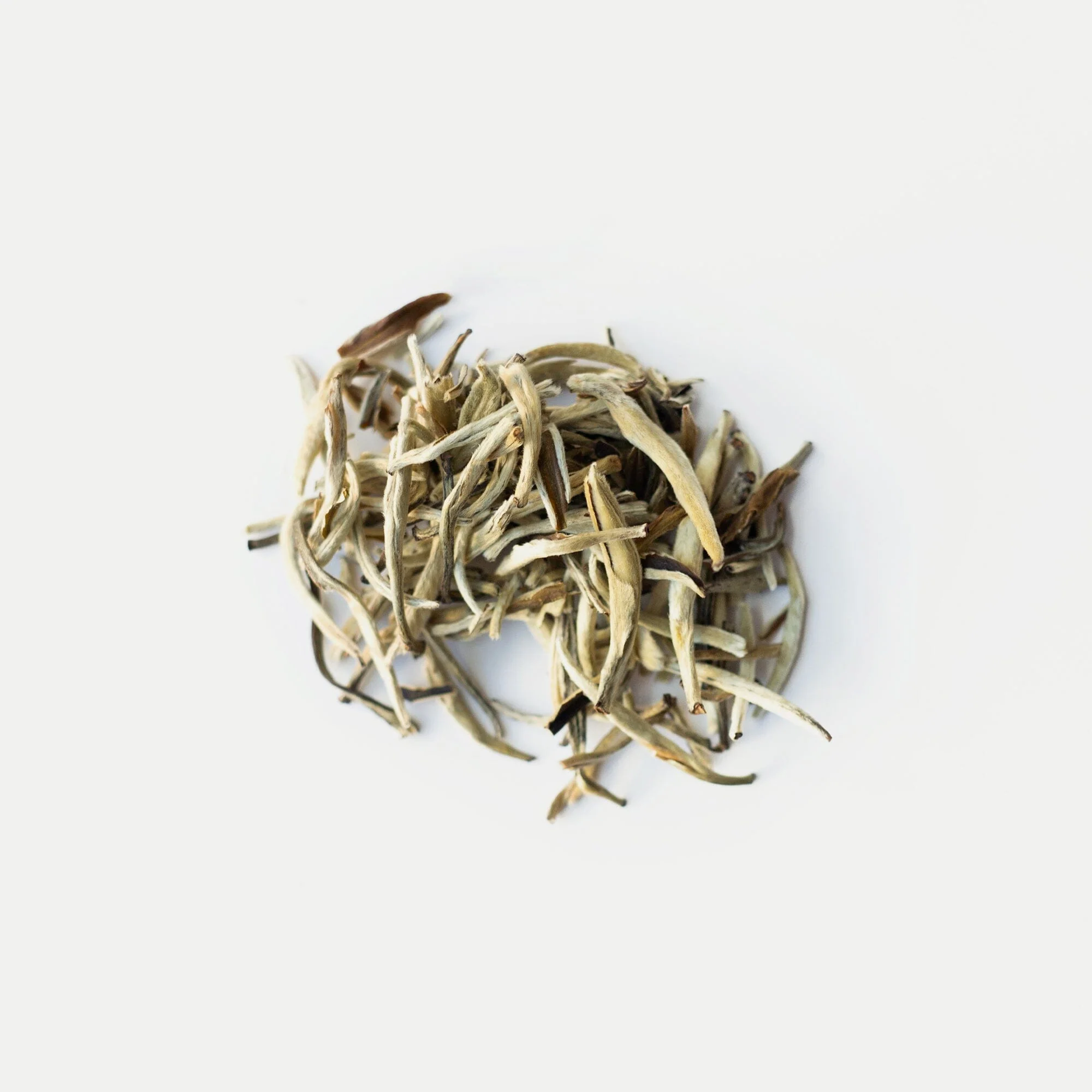 Jasmine Silver Needles