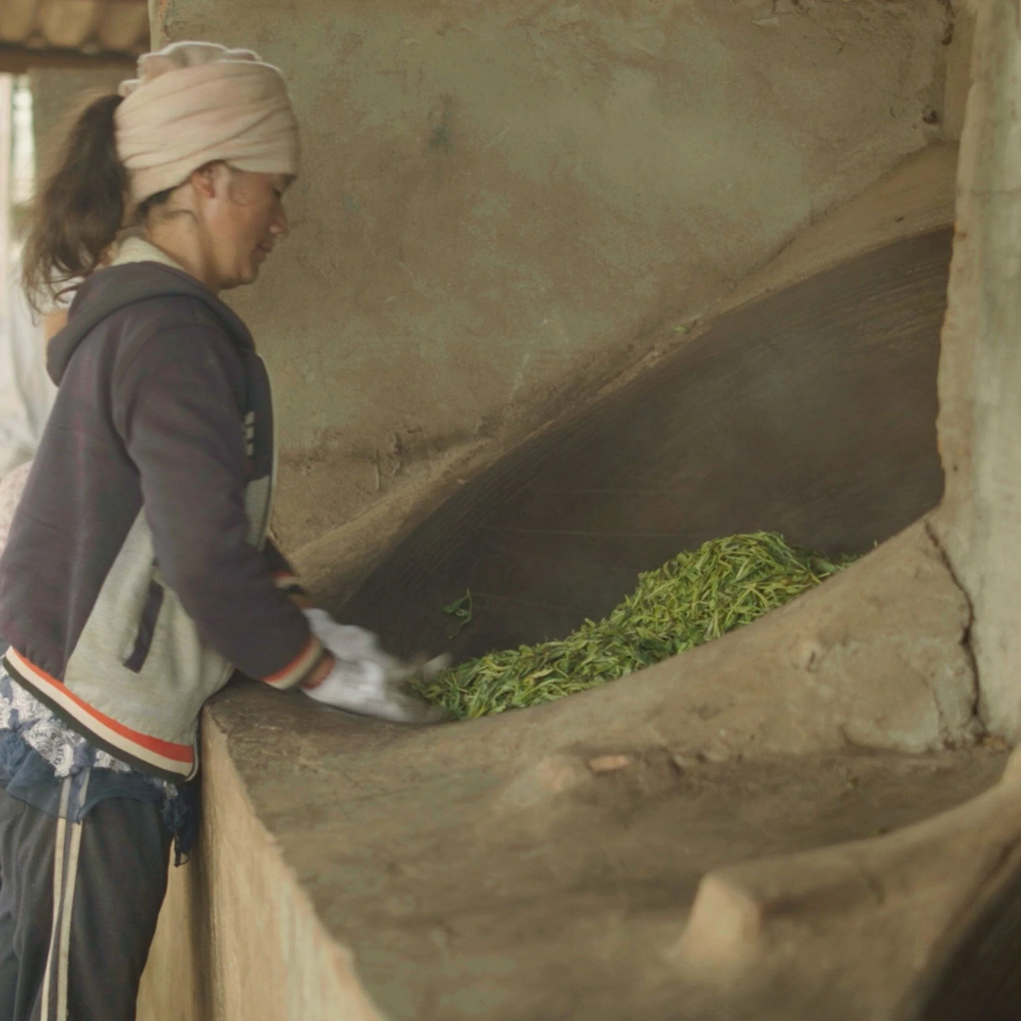 Laos Sheng Pu’er Tea Cake Vintage 2022 - Image 3