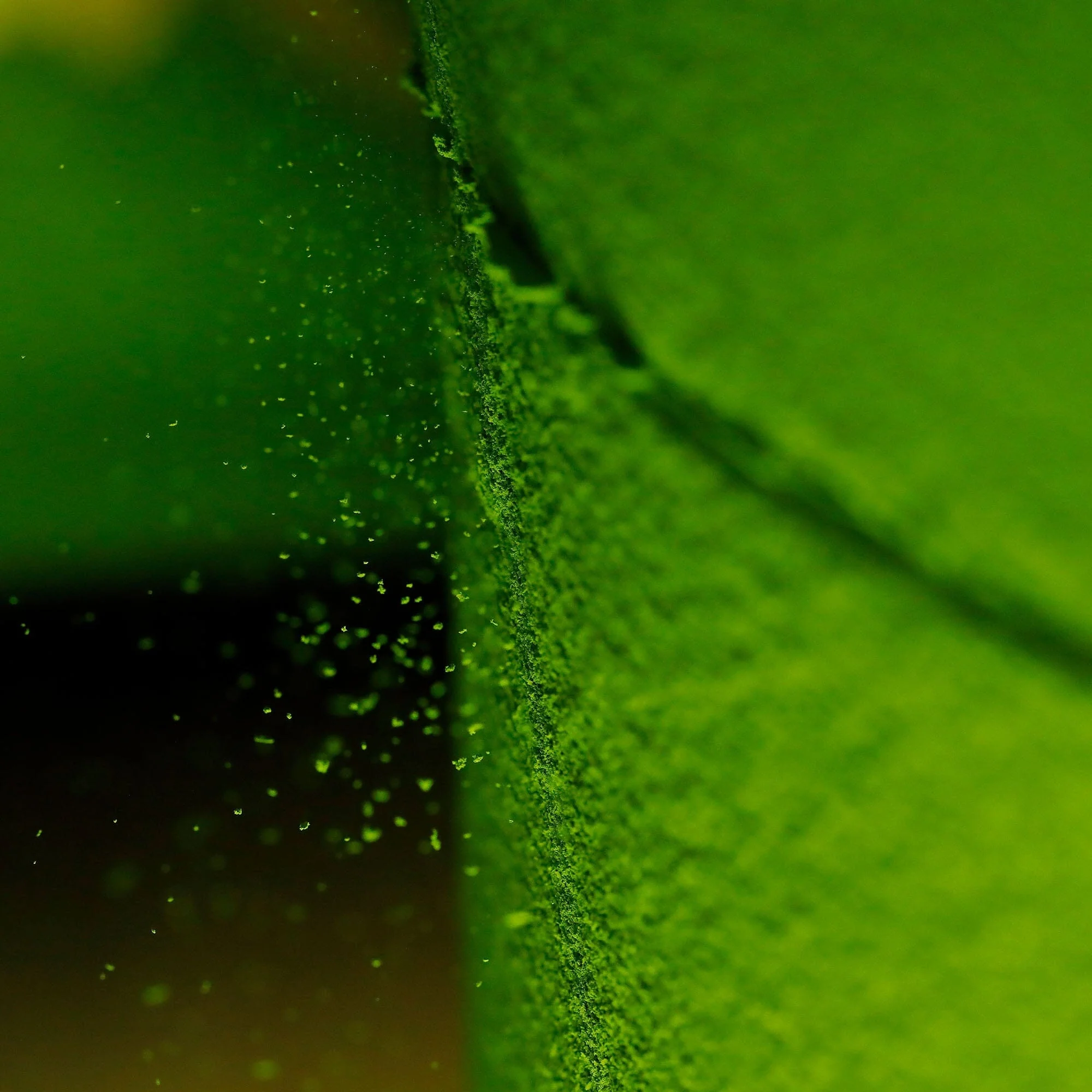 Matcha Hekisui - Image 3