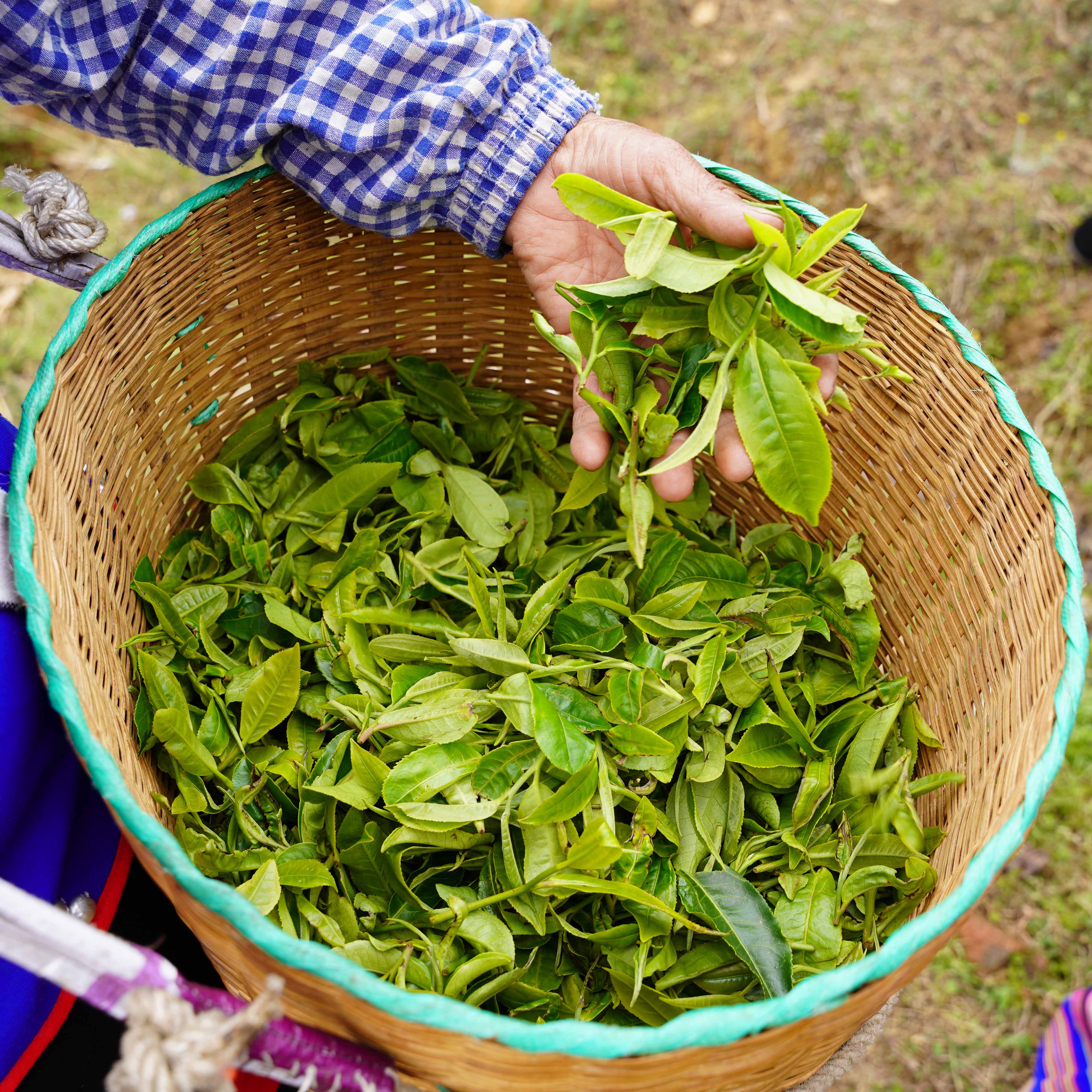China Breakfast - Image 4