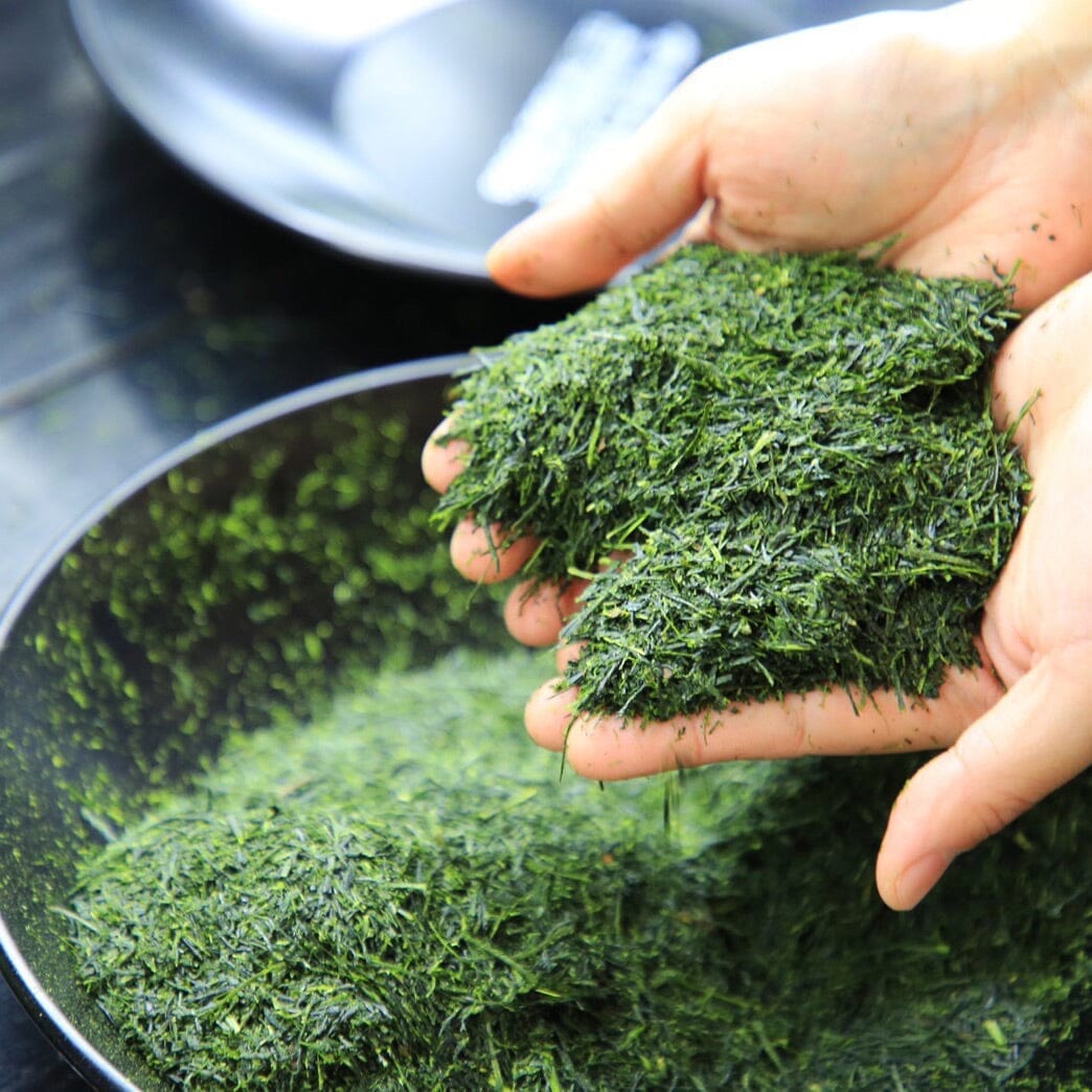 Nishi Sencha First Flush - Image 4