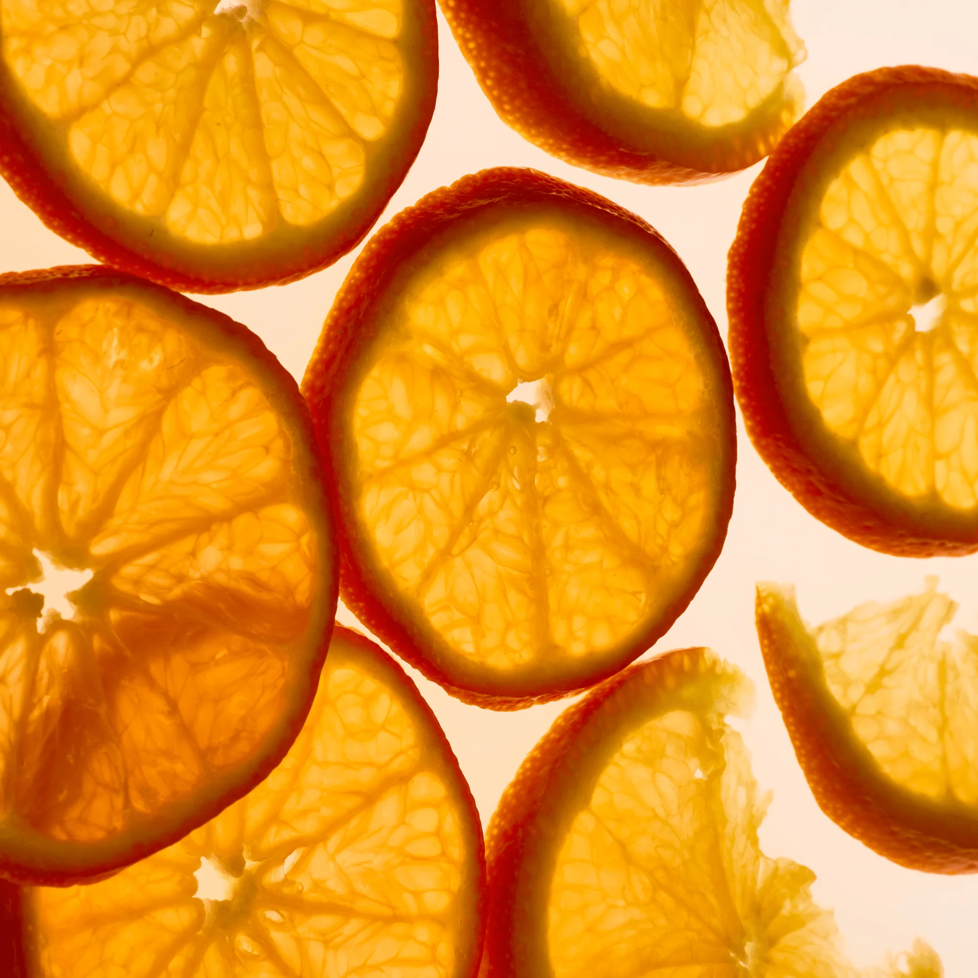 Tangerine Hibiscus (Sachet)