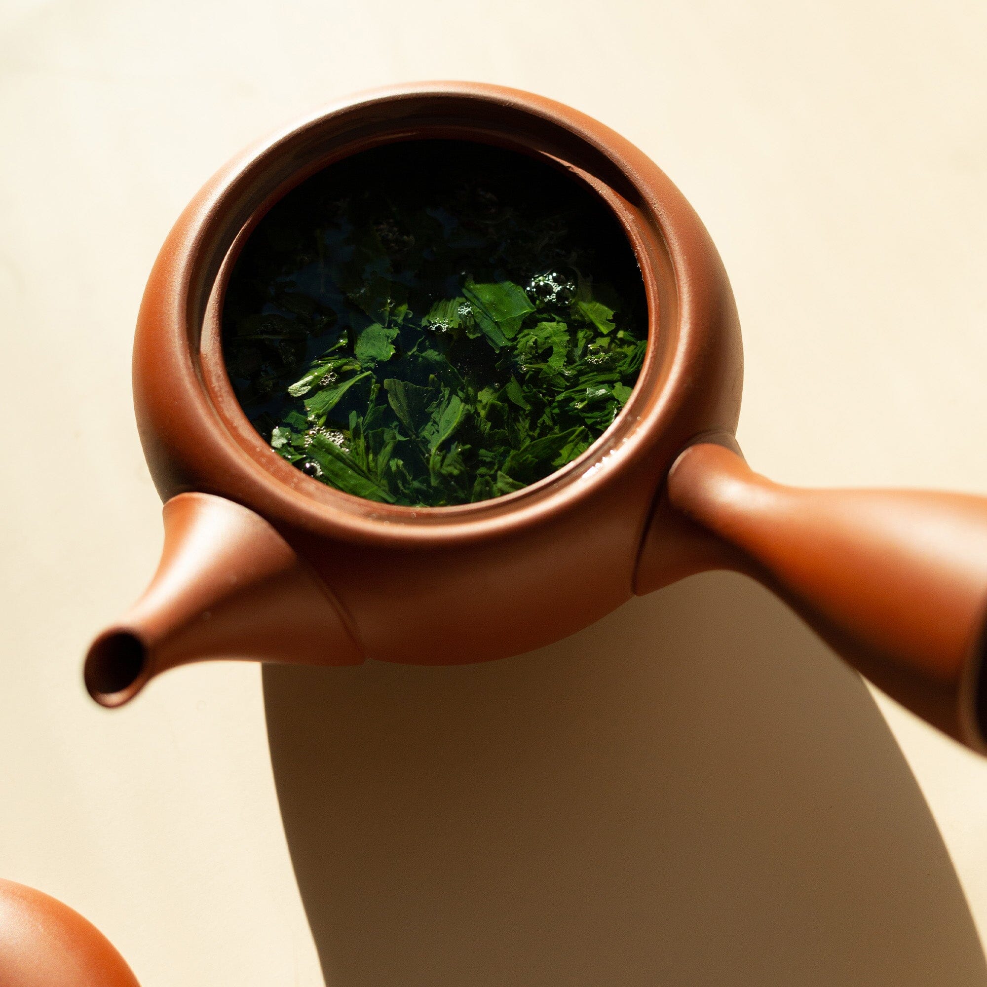 Uji Homare Gyokuro - Image 3