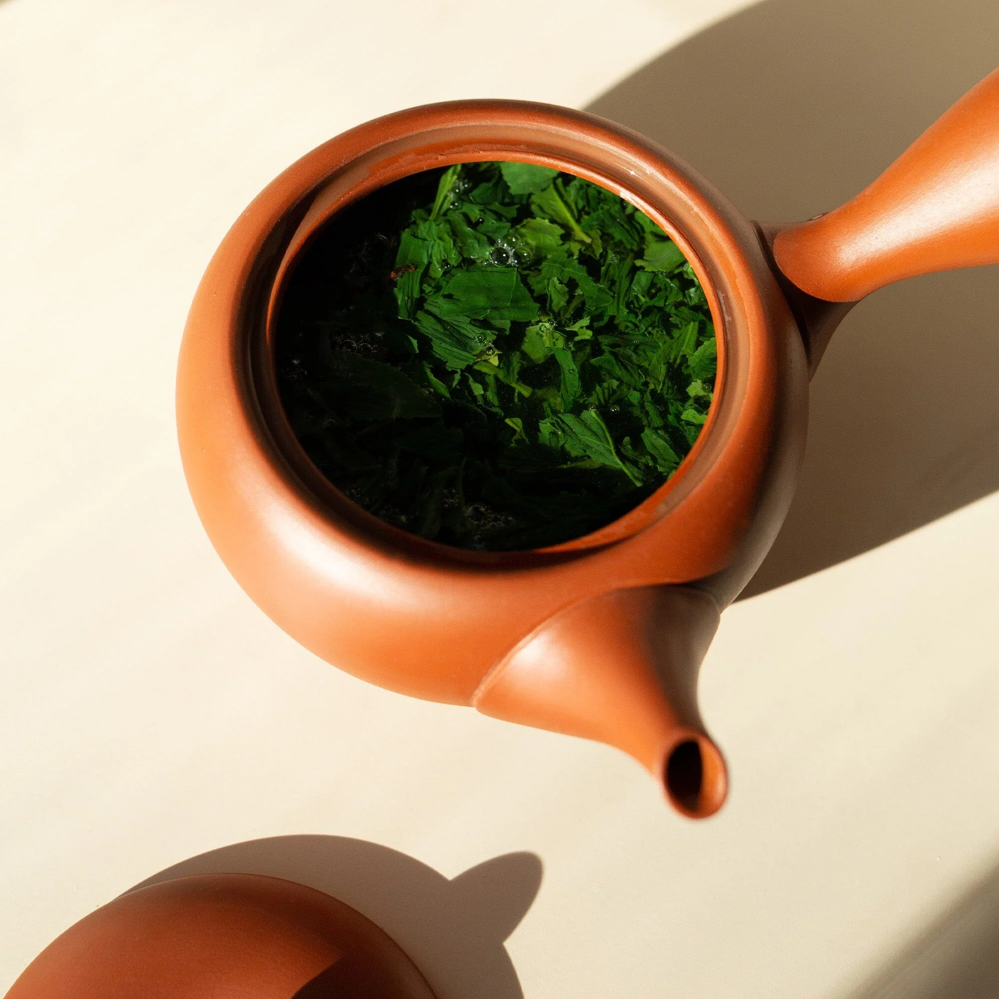 Uji Shuppin Gyokuro - Image 3