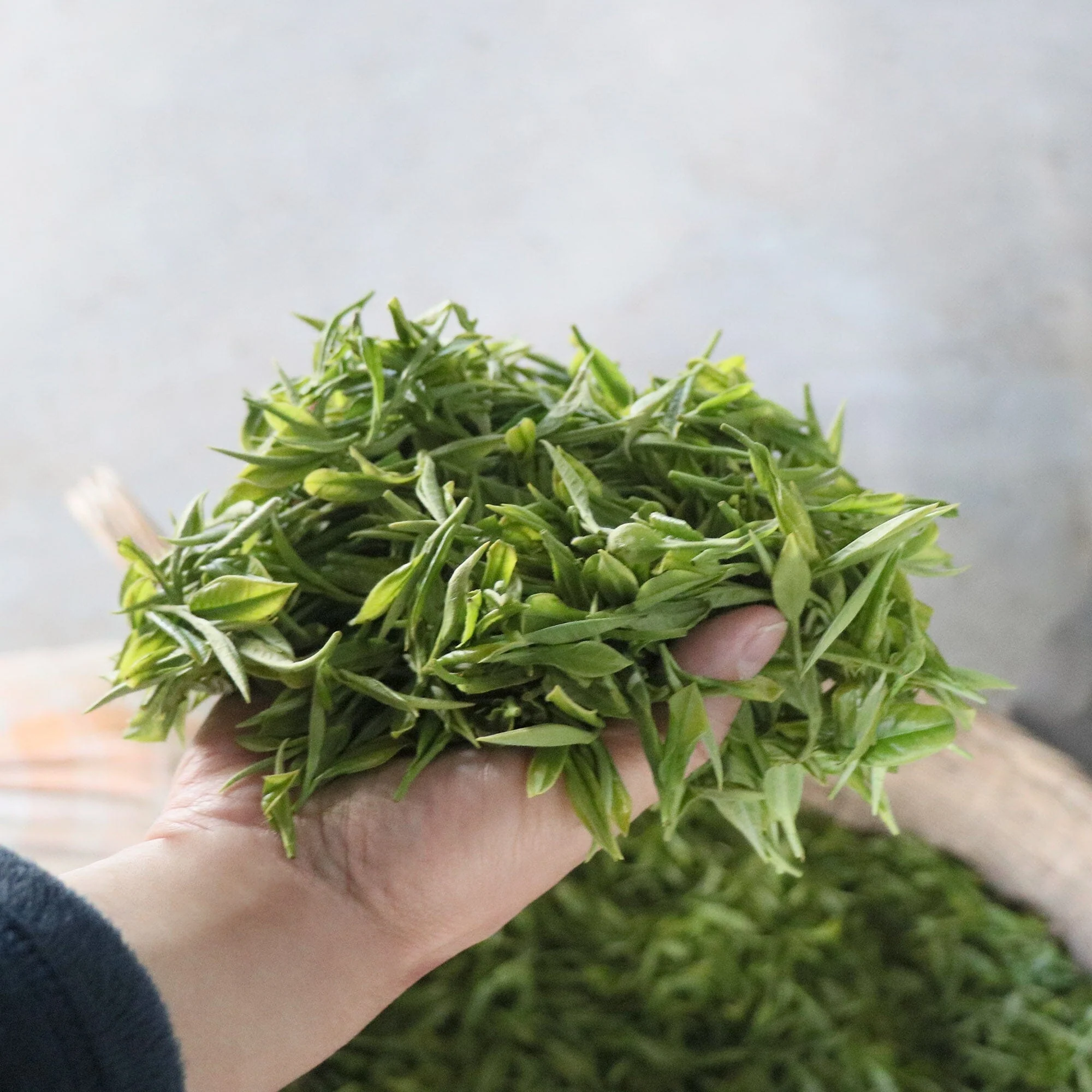 Yulu Jade Dew - Image 3